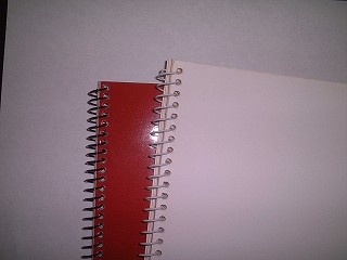 �X�p�C���������O